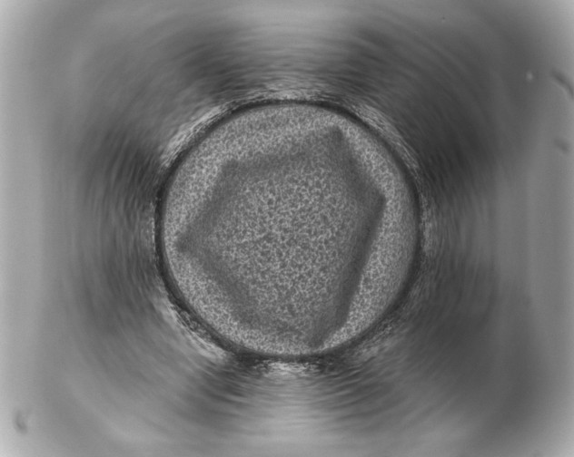 X0000102460442200808291545