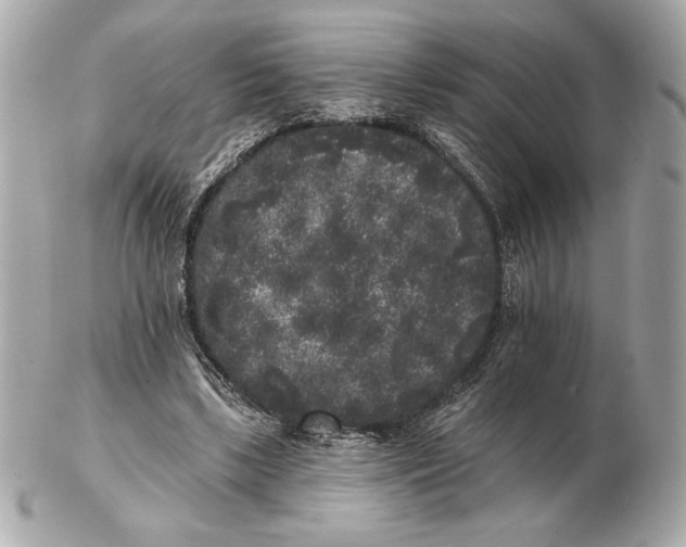 X0000102460443200808291545