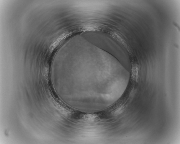 X0000102460444200808291545