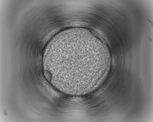 X0000102460445200808291545