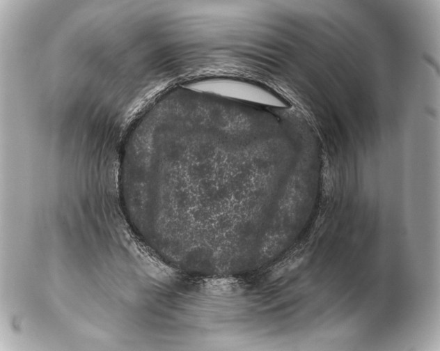 X0000102460446200808291546