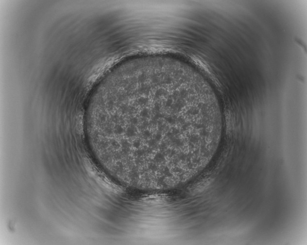 X0000102460447200808291546