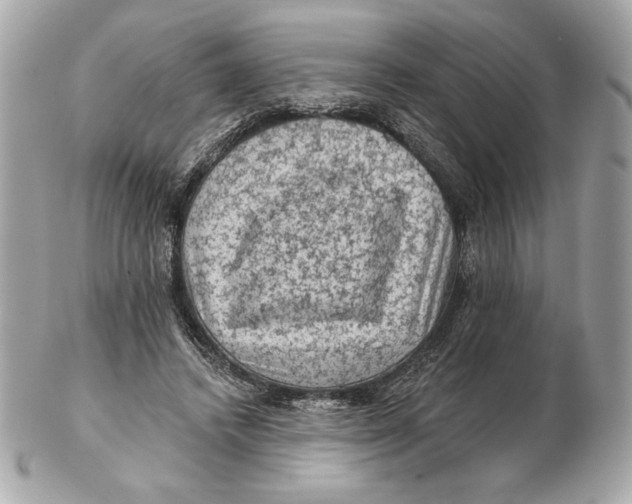X0000102460448200808291546