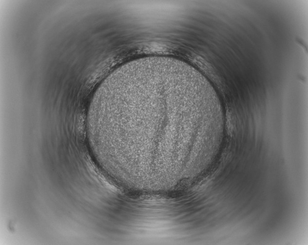 X0000102460449200808291546