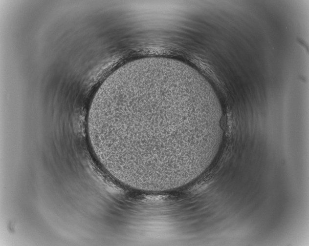 X0000102460450200808291546