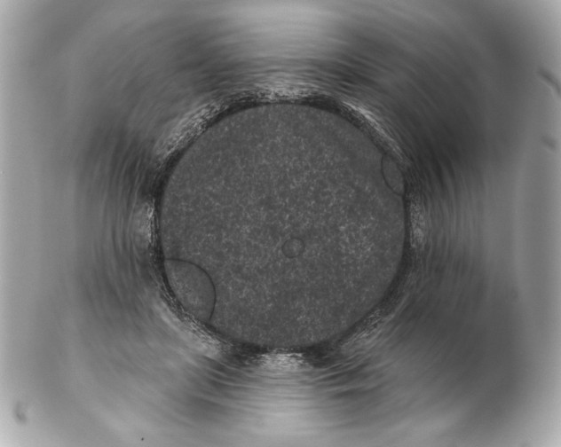 X0000102460451200808291546