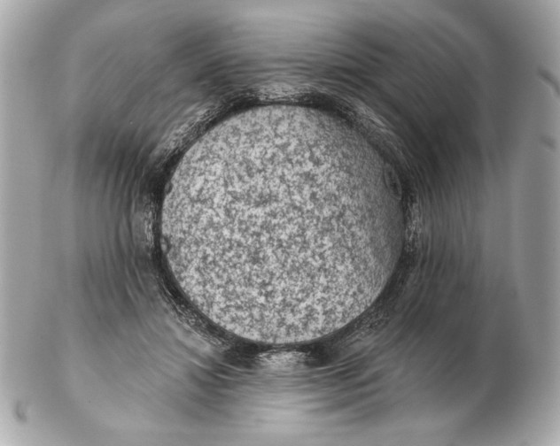 X0000102460452200808291546