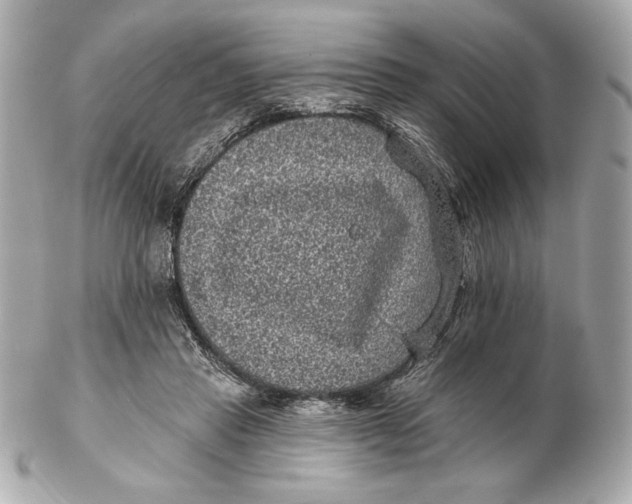 X0000102460453200808291546
