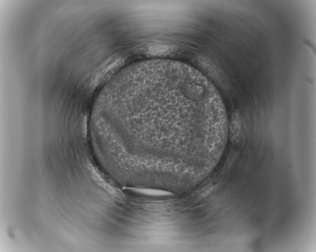 X0000102460454200808291546