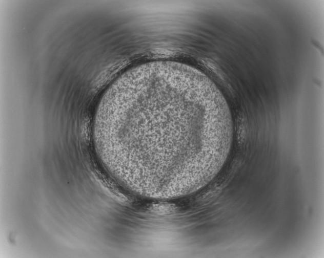 X0000102460455200808291546