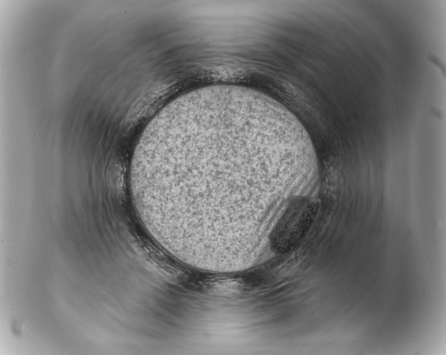 X0000102460456200808291546