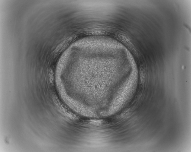 X0000102460457200808291546