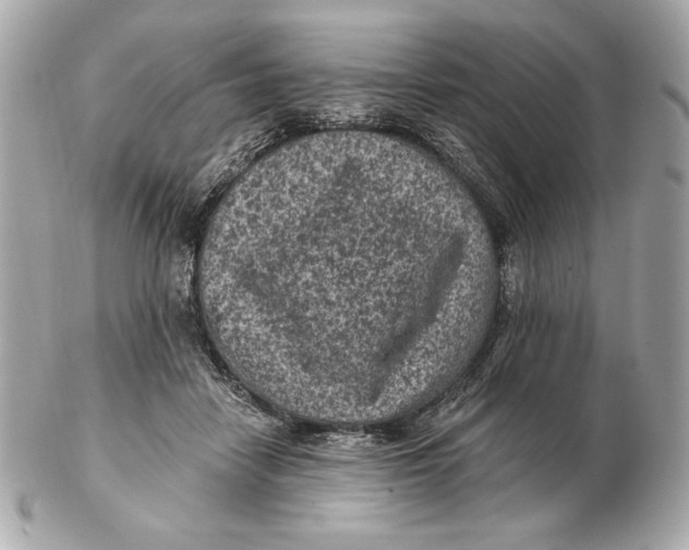 X0000102460458200808291546