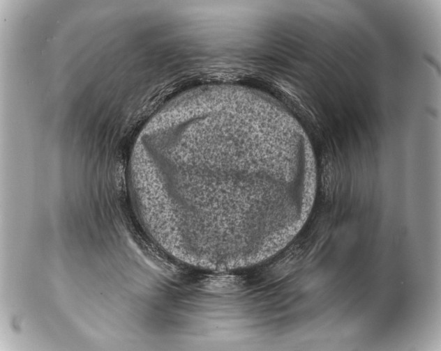 X0000102460459200808291546