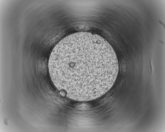 X0000102460460200808291546