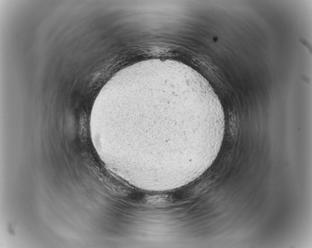 X0000102460461200808291546