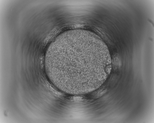 X0000102460462200808291546