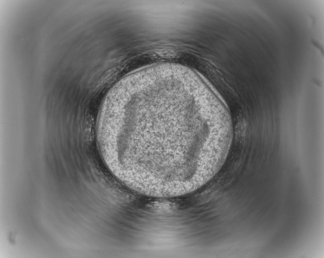 X0000102460464200808291546