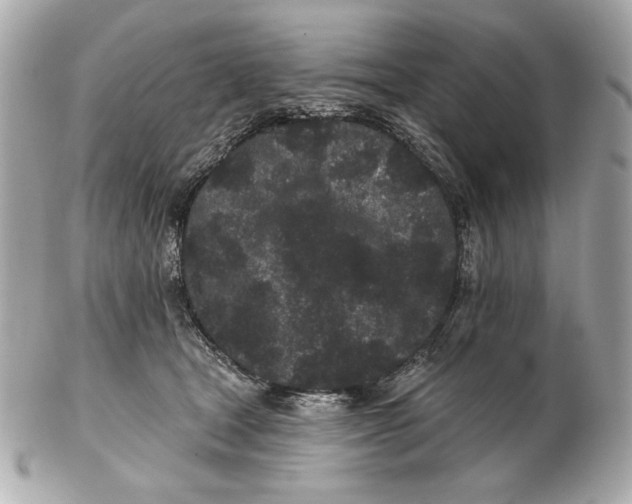 X0000102460465200808291546