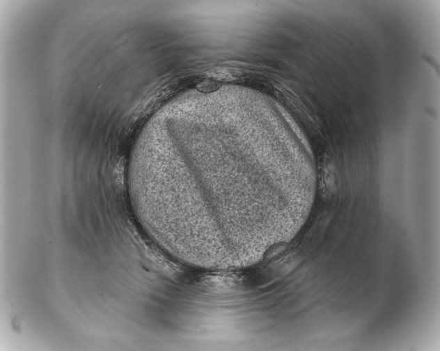 X0000102460466200808291546
