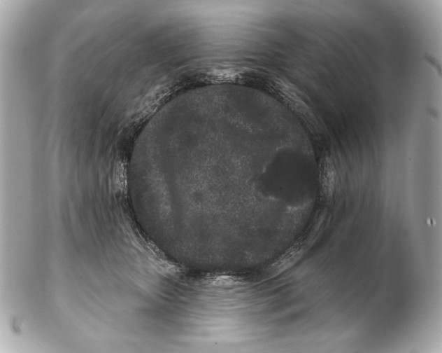 X0000102460467200808291546