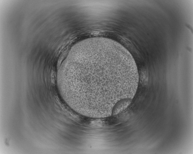 X0000102460470200808291546
