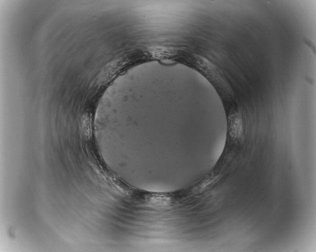 X0000102460471200808291546