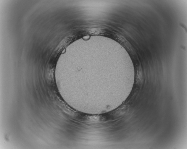 X0000102460473200808291546