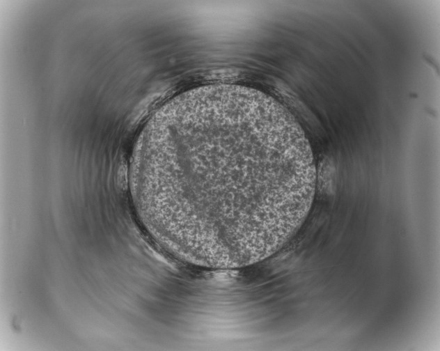 X0000102460474200808291546