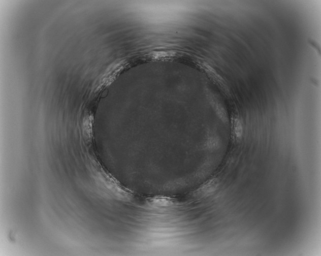 X0000102460475200808291546