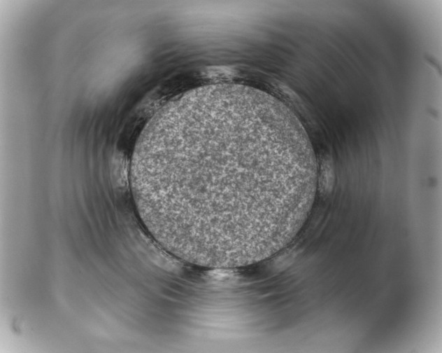 X0000102460477200808291546