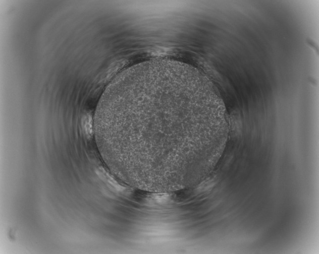 X0000102460479200808291546