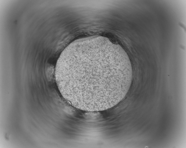 X0000102460480200808291546