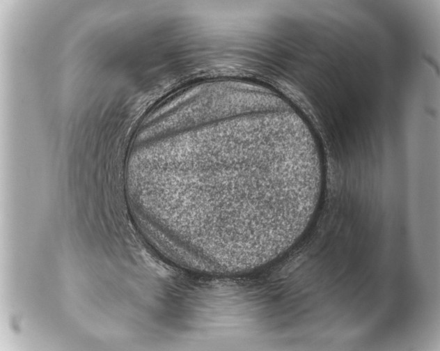X0000102460481200808291545