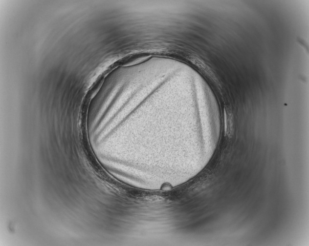 X0000102460483200808291545