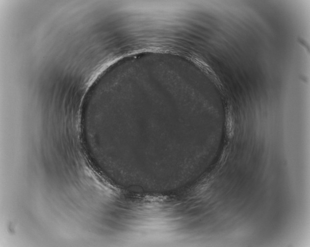 X0000102460484200808291545
