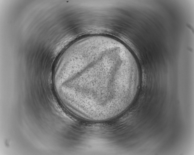 X0000102460485200808291545