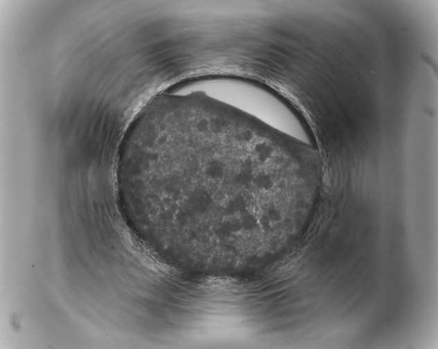 X0000102460487200808291545