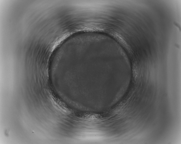 X0000102460488200808291545