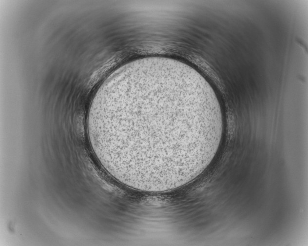 X0000102460489200808291545