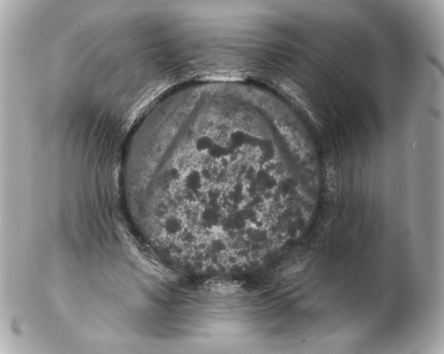 X0000102460491200808291545