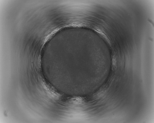 X0000102460492200808291545