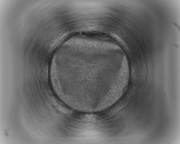 X0000102460493200808291545