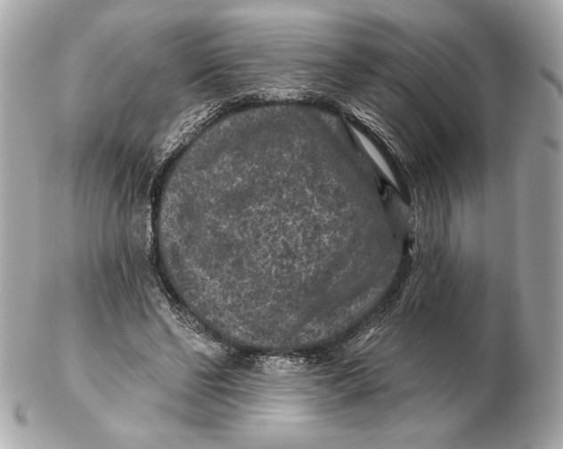 X0000102460494200808291545