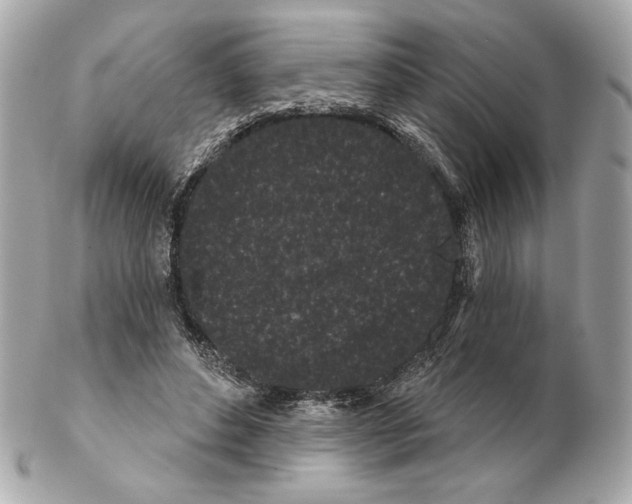 X0000102460496200808291545