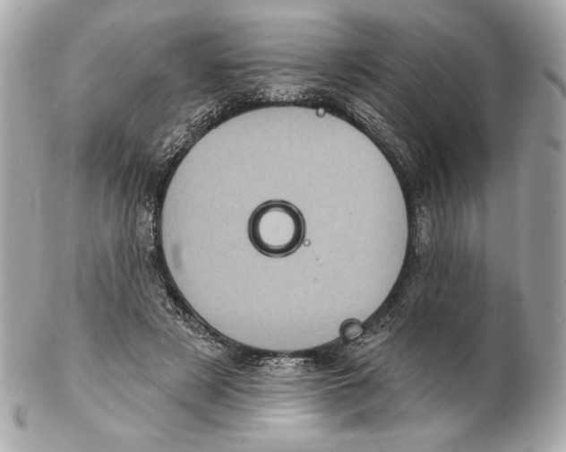 X0000102460497200808291545