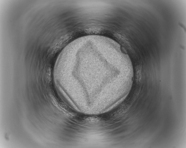 X0000102460498200808291545