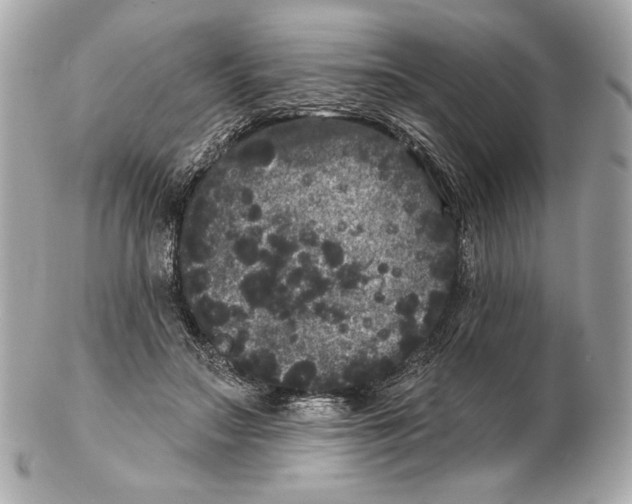 X0000102460499200808291545