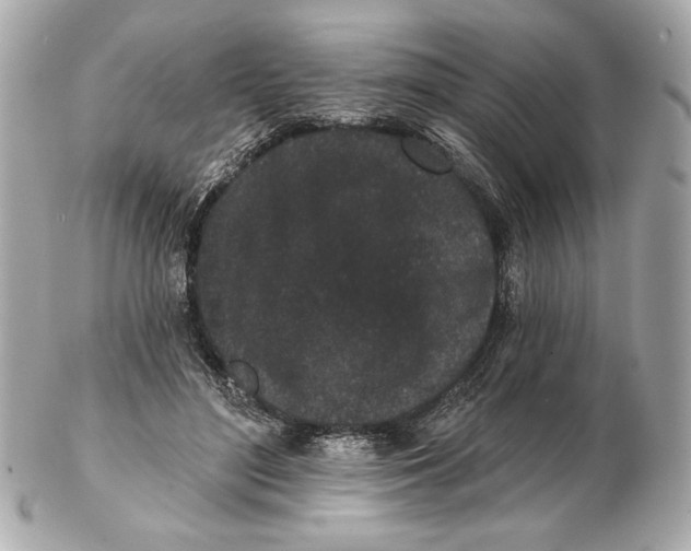 X0000102460500200808291545