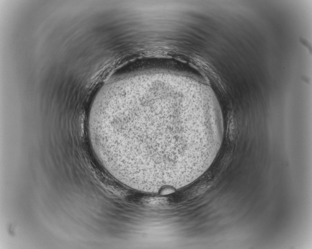 X0000102460501200808291545